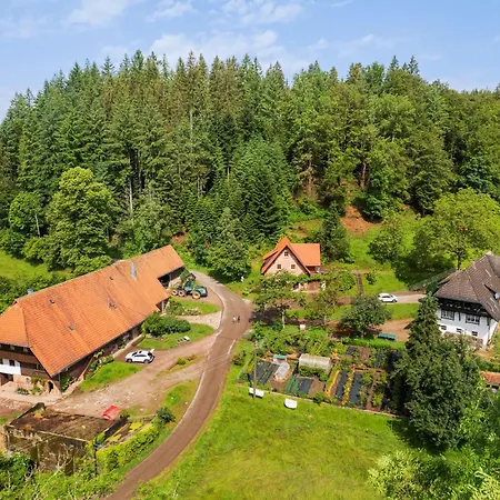 Hexenhaeuschen Сasa de vacaciones Wolfach